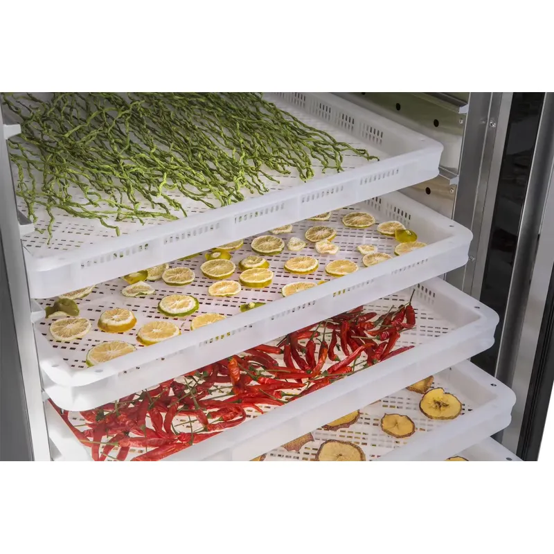 Essiccatore Industriale e Comm - Commercial Food Dehydrator recensione e prezzo