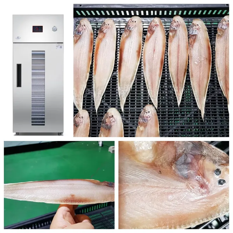 Essiccatore Industriale e Comm - Commercial Food Dehydrator recensione e prezzo