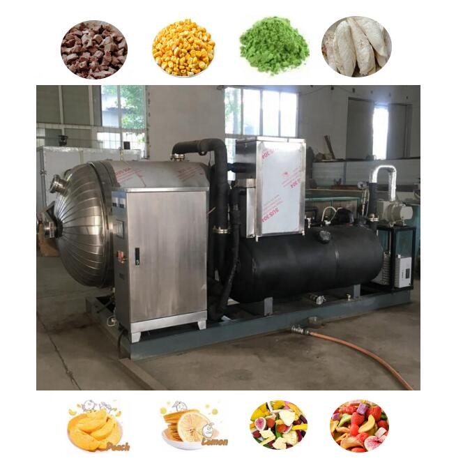Essiccatore per alimenti perso - Commercial Food Dehydrator recensione e prezzo