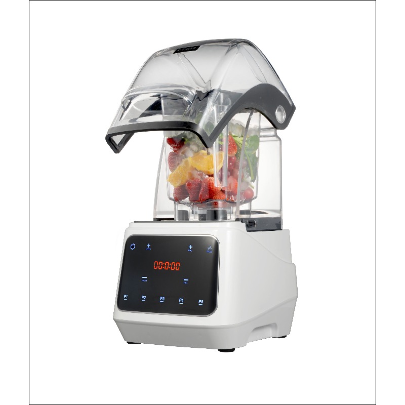 Frullatore Professionale Airo  - Commercial Kitchen Juicer recensione e prezzo